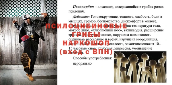 мдпв Янаул