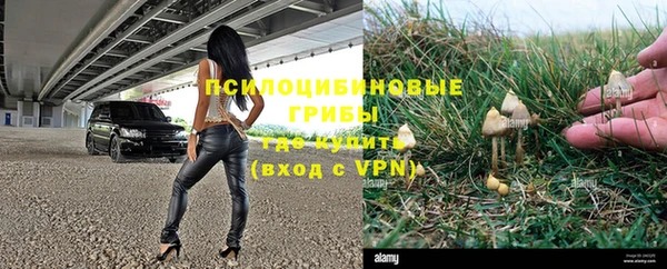 apvp Коряжма