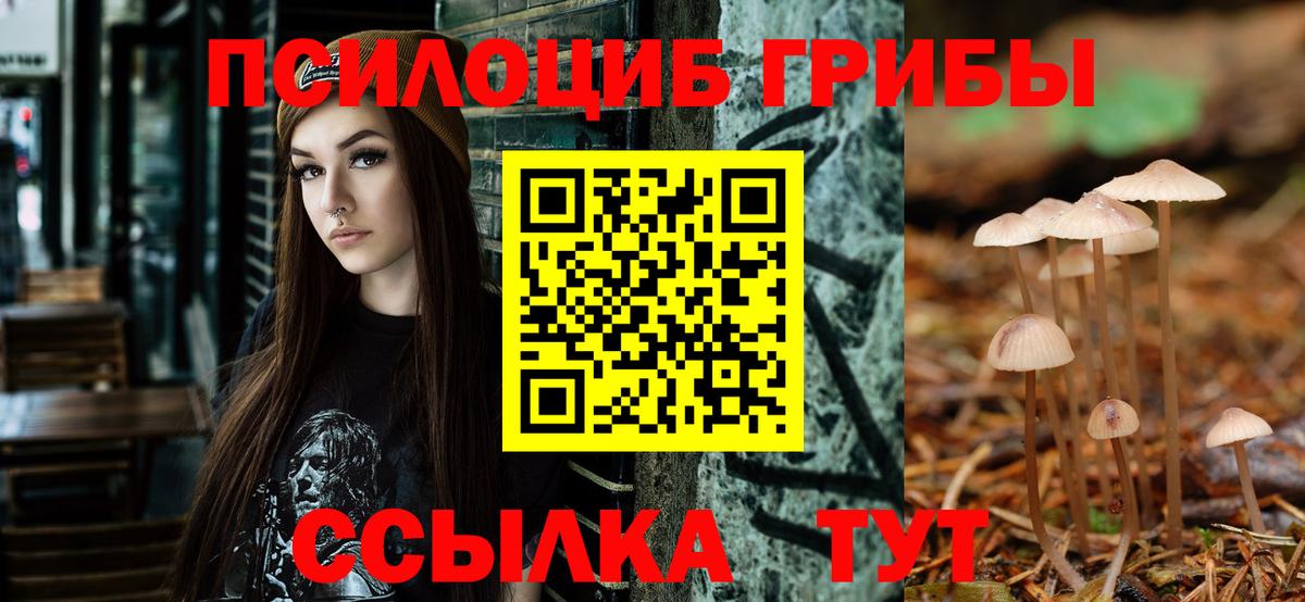 Галлюциногенные грибы Psilocybe Южноуральск